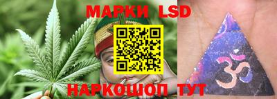 mdpv Рыбинск
