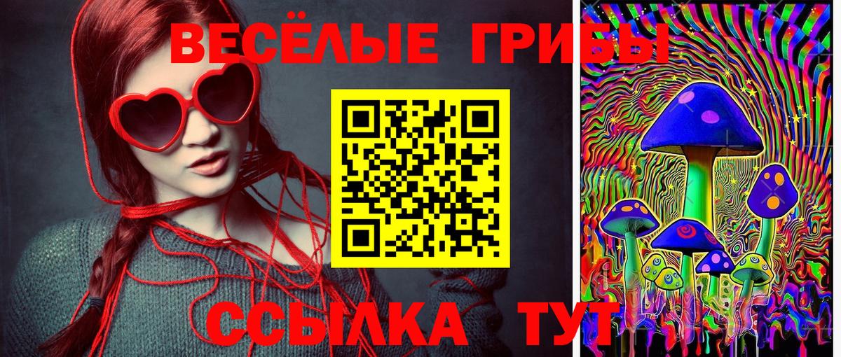Галлюциногенные грибы GOLDEN TEACHER Россия
