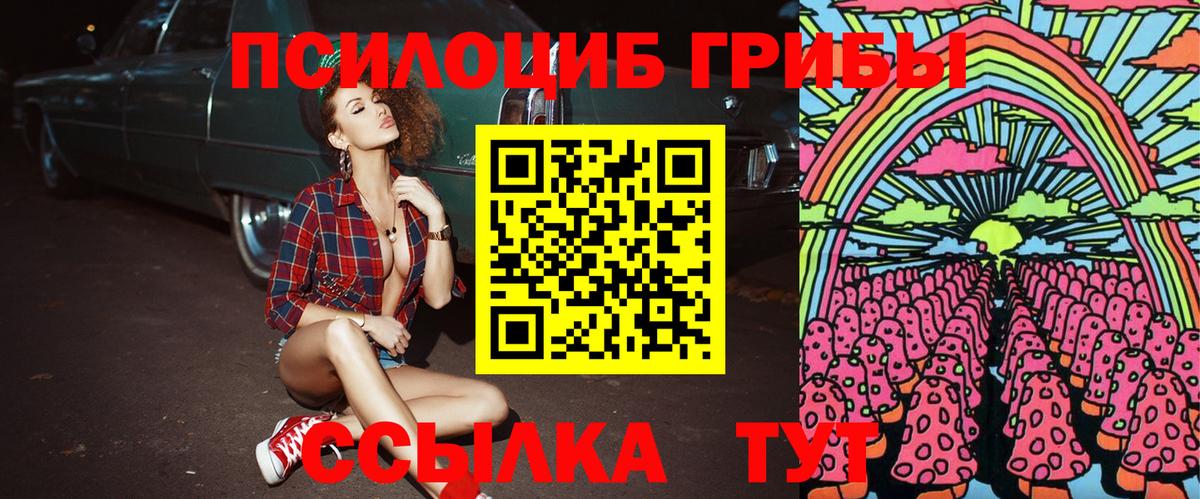 Псилоцибиновые грибы GOLDEN TEACHER  Вход с VPN  Россия 