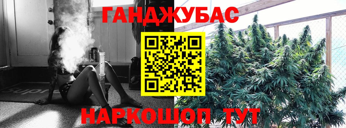 Канабис OG Kush Россия